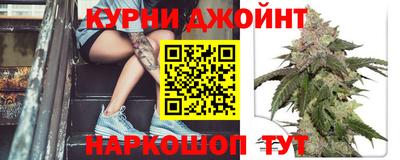 молекула духа Берёзовский